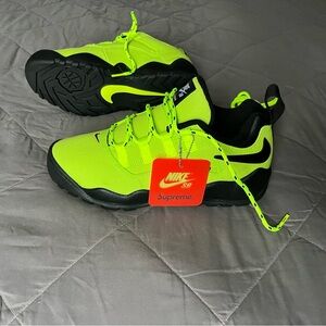 Nike SB Supreme X Darwin